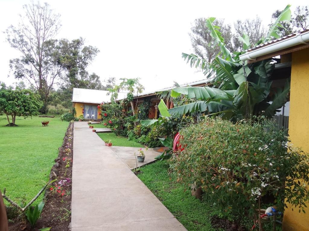 Cabanas Rapa Nui Orito Ханга-Роа Экстерьер фото